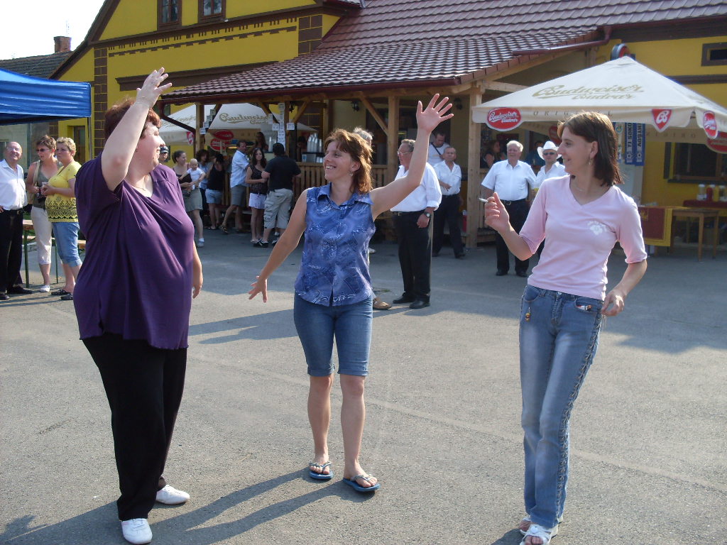 Přehýšov 2010 015.jpg